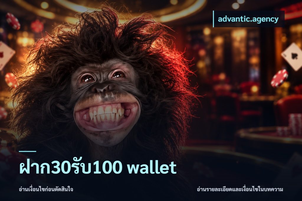 ฝาก30รับ100 wallet